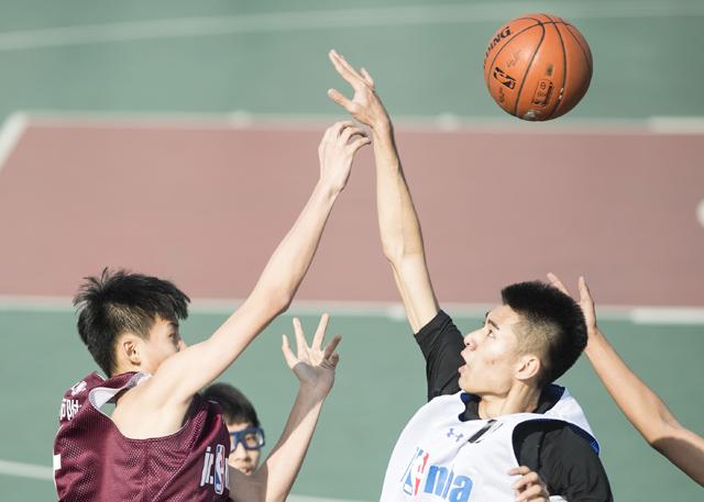 全集在线观看