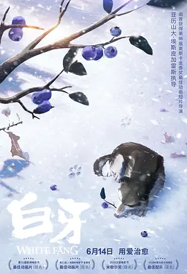 全集免费观看超清