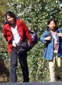 全集免费观看超清