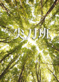 完结高清影视